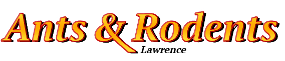 Lawrence Ant Exterminator & Rodent Control Company Logo